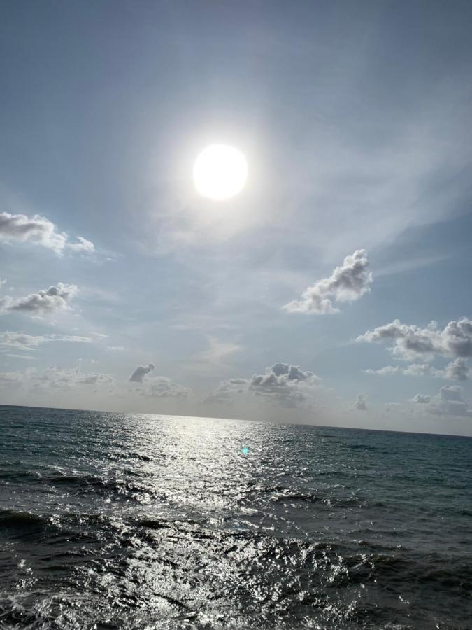 Apartaments Amalia On The Beach Torrevieja Buitenkant foto