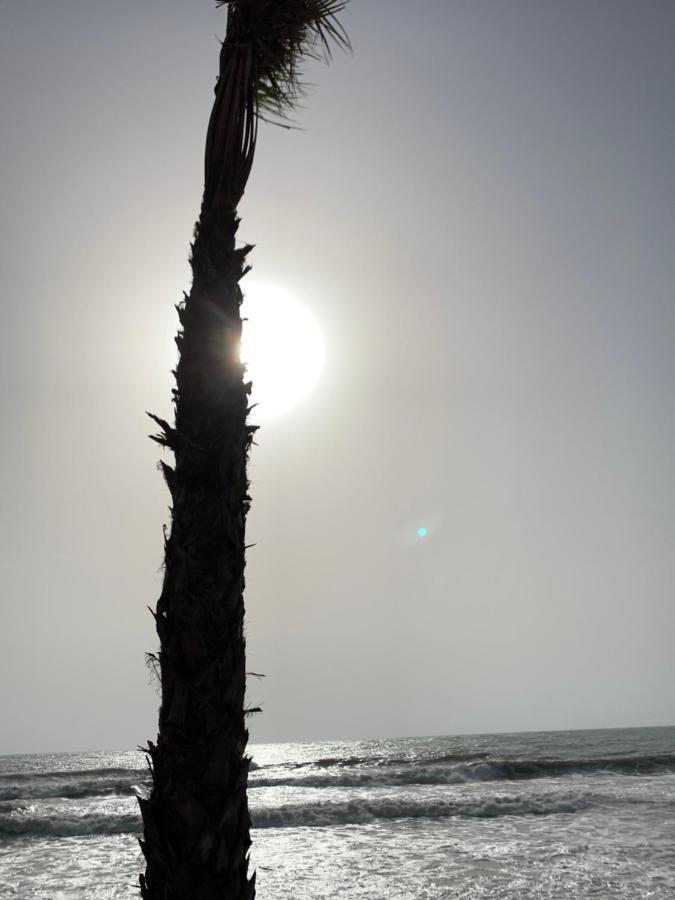 Apartaments Amalia On The Beach Torrevieja Buitenkant foto